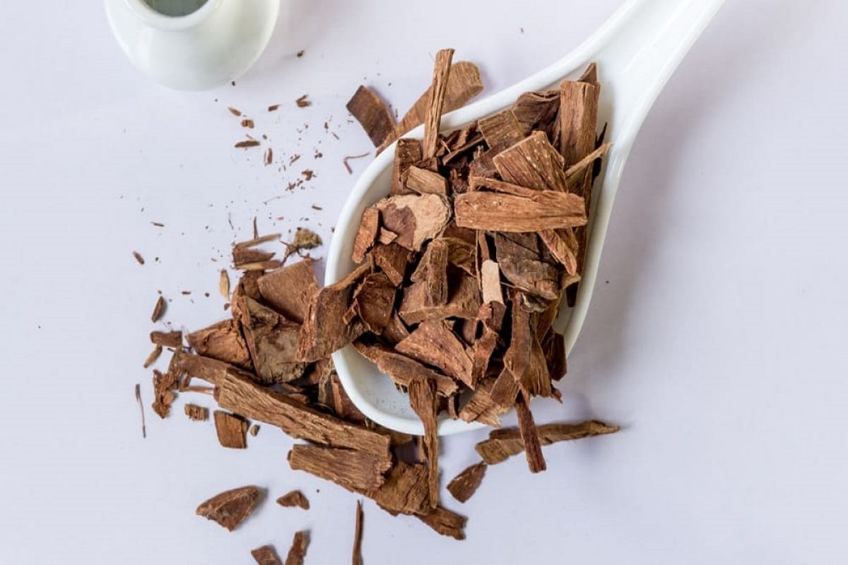 Arjun Bark Benefits: अर्जुन की छाल दिल की बीमारियों के लिए है रामबाण इलाज, जानें इसके कमाल के फायदे