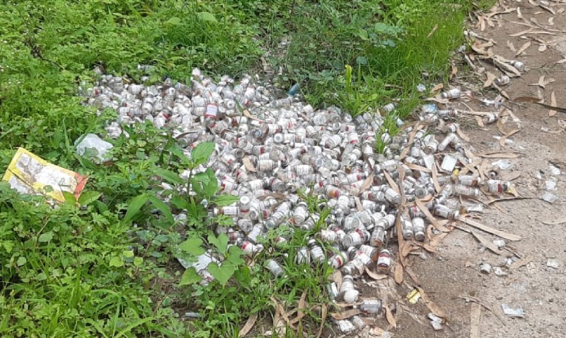 पिण्डवाड़ा. शहर के हाउसिंग बोर्ड कॉलोनी के सडक के किनारे फेंका बायोवेस्ट।