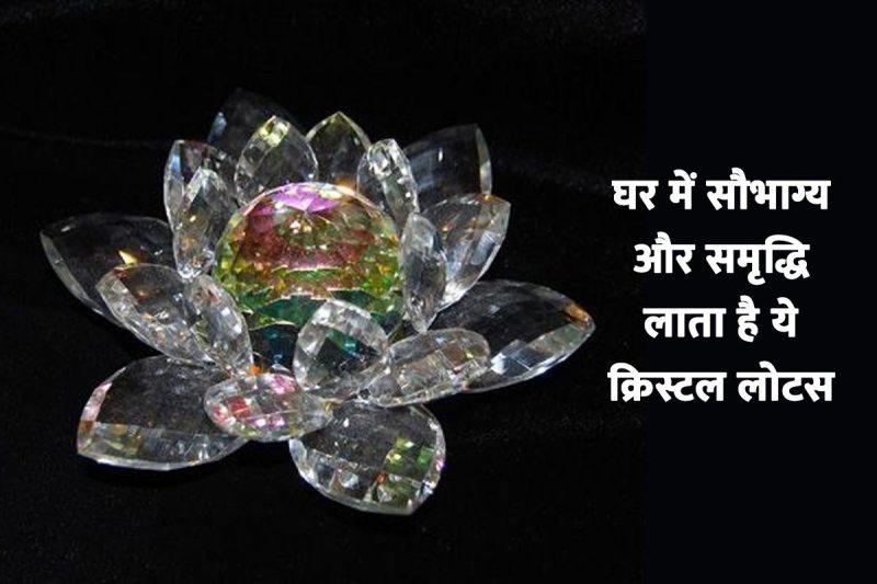 crystal lotus direction, crystal lotus flower feng shui benefits, crystal lotus flower benefits, feng shui tips for money, feng shui tips for health wealth and prosperity, feng shui tips for office,