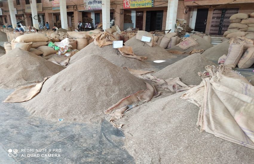 CUMIN---- जीरा लुढ़का, ग्वार-गम सामान्य, सोना-चांदी िस्थर