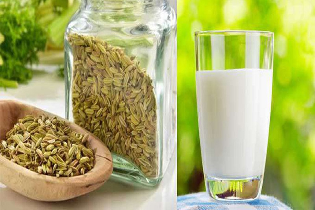 Health Tips: दूध में सौंफ मिलाकर पीने से सेहत को मिलते हैं ये अद्भुत फायदे, पाचन तंत्र को मजबूत बनाने में होता है फायदेमंद 