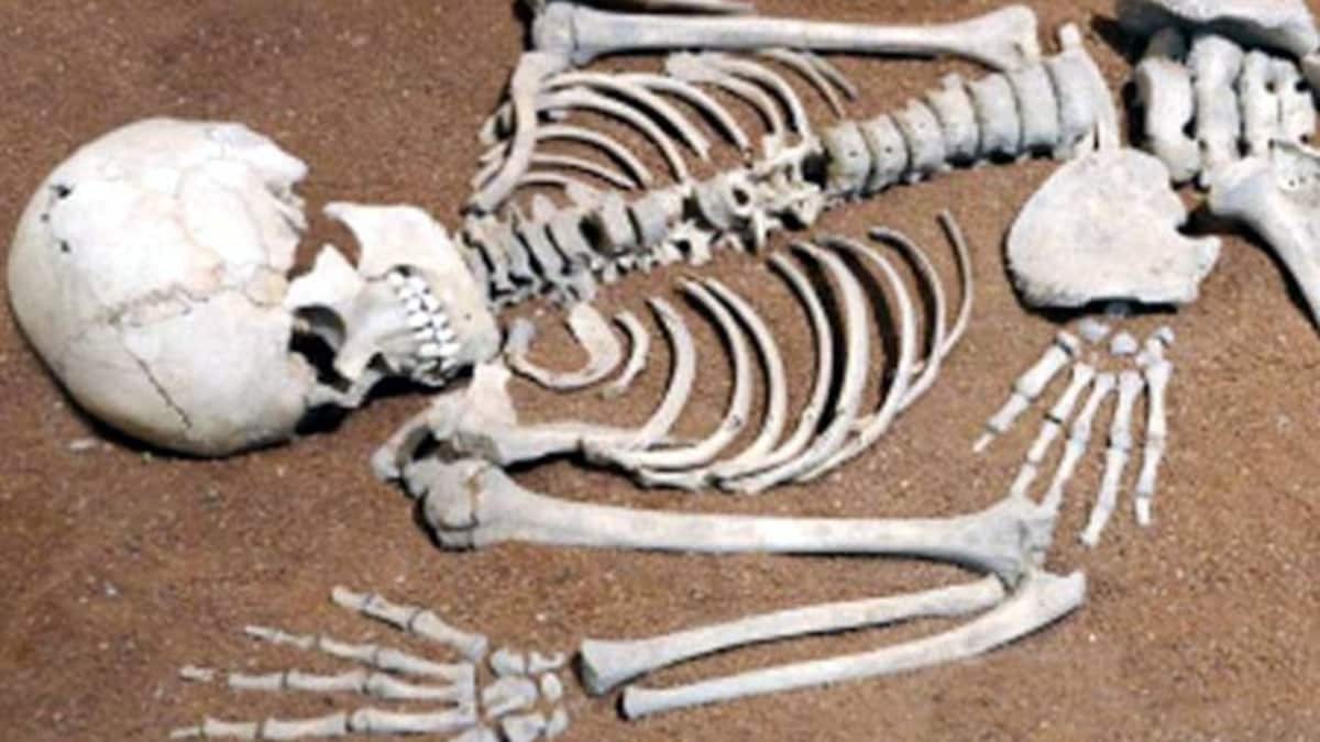 DNA test of parents will be done from skeleton found two years ago in Etawah