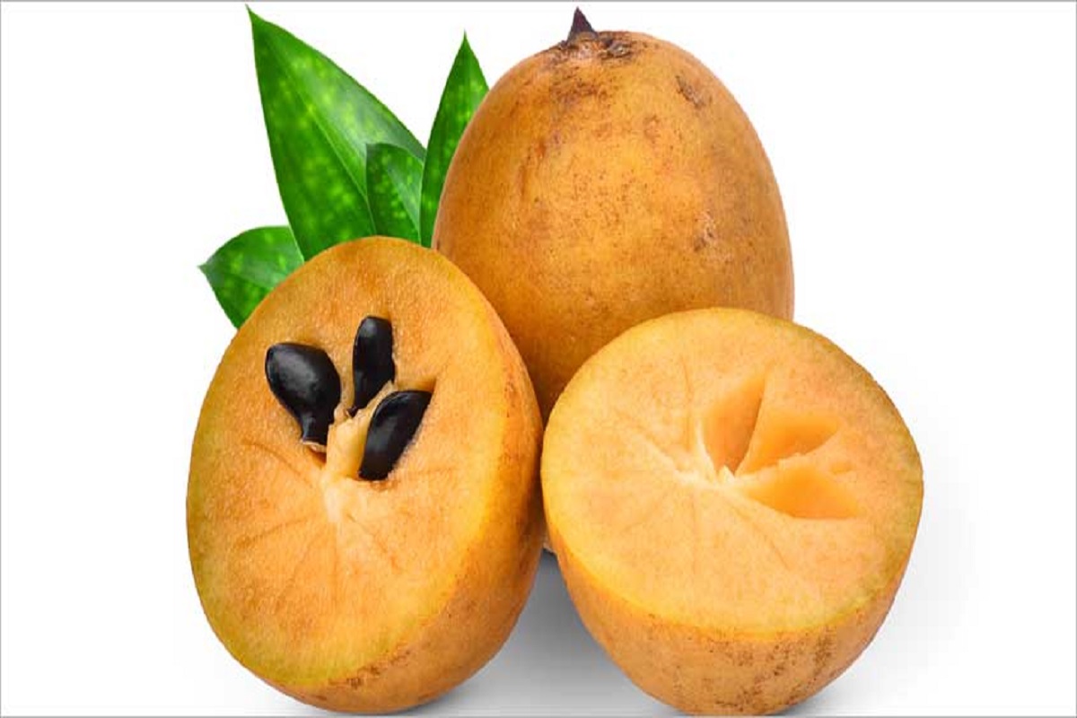 Chiku Benefits: रोजाना चीकू का सेवन करने से पाचन तंत्र संबंधी समस्याएं होंगी दूर, जानें अन्य फायदे