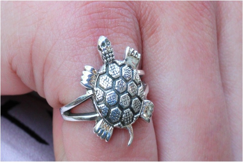 astrology news, turtle ring, turtle ring benefits, tortoise ring benefits,