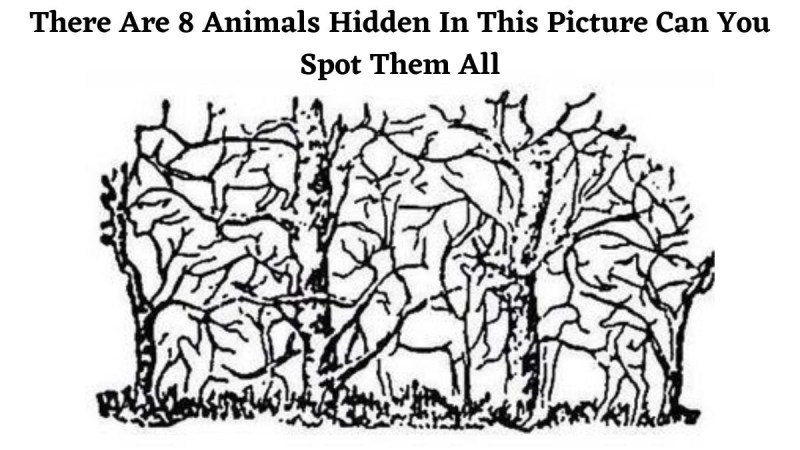 There are 8 Animals Hidden In this picture, Can You Spot Them All?