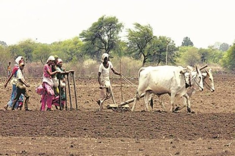 लौटना होगा परम्परागत खेती-बाड़ी की ओर