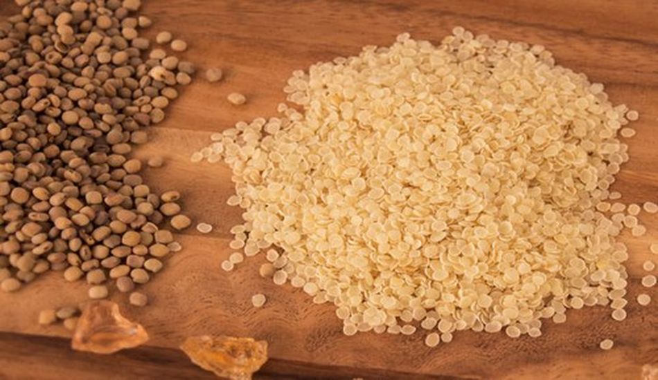 KRISHI MANDI ---ग्वार-गम में तेजी, जीरा मंदा