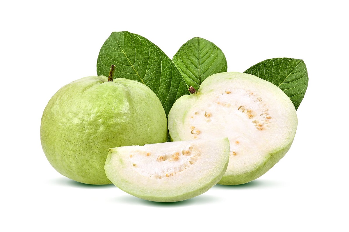 Guava Side Effects: ऐसे लोगों को भूलकर भी नहीं करना चाहिए अमरूद का सेवन, नही तो पाचन तंत्र हो सकता है गड़बड़