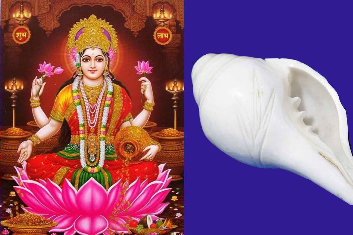 dakshinavarti shankh benefits, maa lakshmi ko prasann karne ke upay, ghar ke mandir mein kaun sa shankh rakhna chahiye, shankh rakhne ke niyam, dakshinavarti conch shell, what is dakshinavarti shankh,