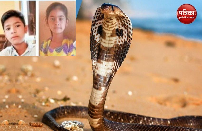 Siblings die due to snake bite in Bundi