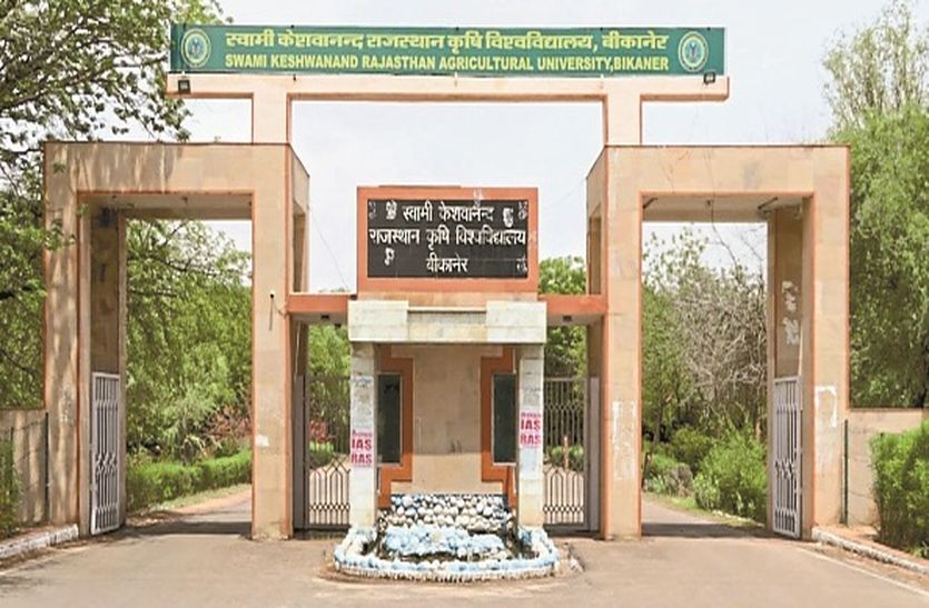 Education Hub: इन संस्थानों के कारण बीकानेर को कहा जाता है शिक्षा का हब