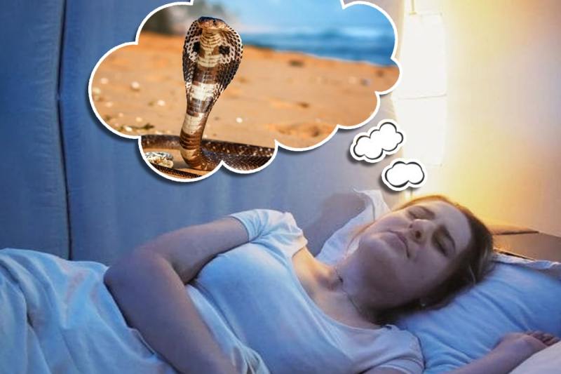 swapna shastra, sawan month, snake dream in sawan month, sapne me sanp dekhna kaisa hota hai, sapne me damru dekhna, sapne me nandi dekhna, shubh sapne