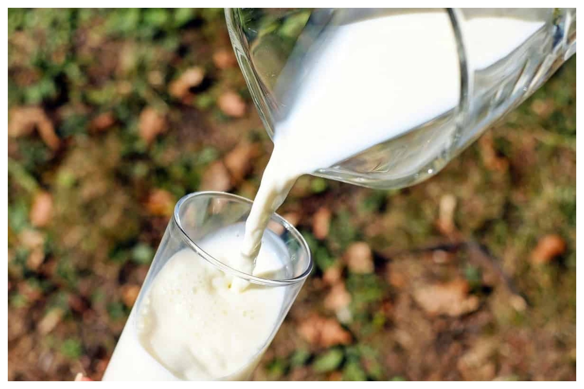 milk.jpg