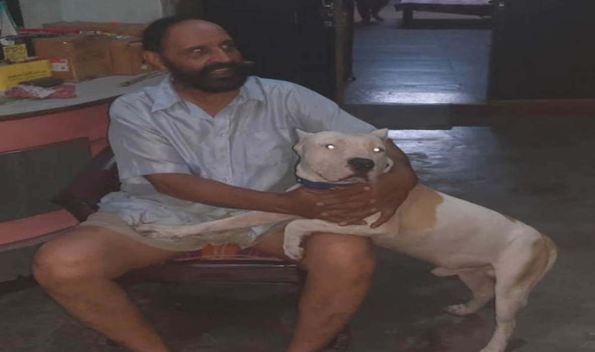 Pitbull dog : लखनऊ के बाद मेरठ में पिटबुल कुत्ते ने किशोर को काटकर किया घायल, हालात बिगड़ने पर दिल्ली रेफर