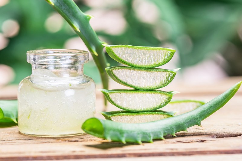 Aloe Vera Gel Benefits: चेहरे पर एलोवेरा जेल लगाने से मिलते हैं कमाल के फायदे, रूखी स्किन को करता है मॉइस्चराइज