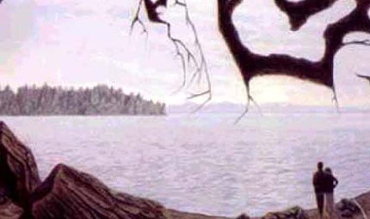 Optical illusion: Can you spot the hidden baby inside this picture of a couple on a lake