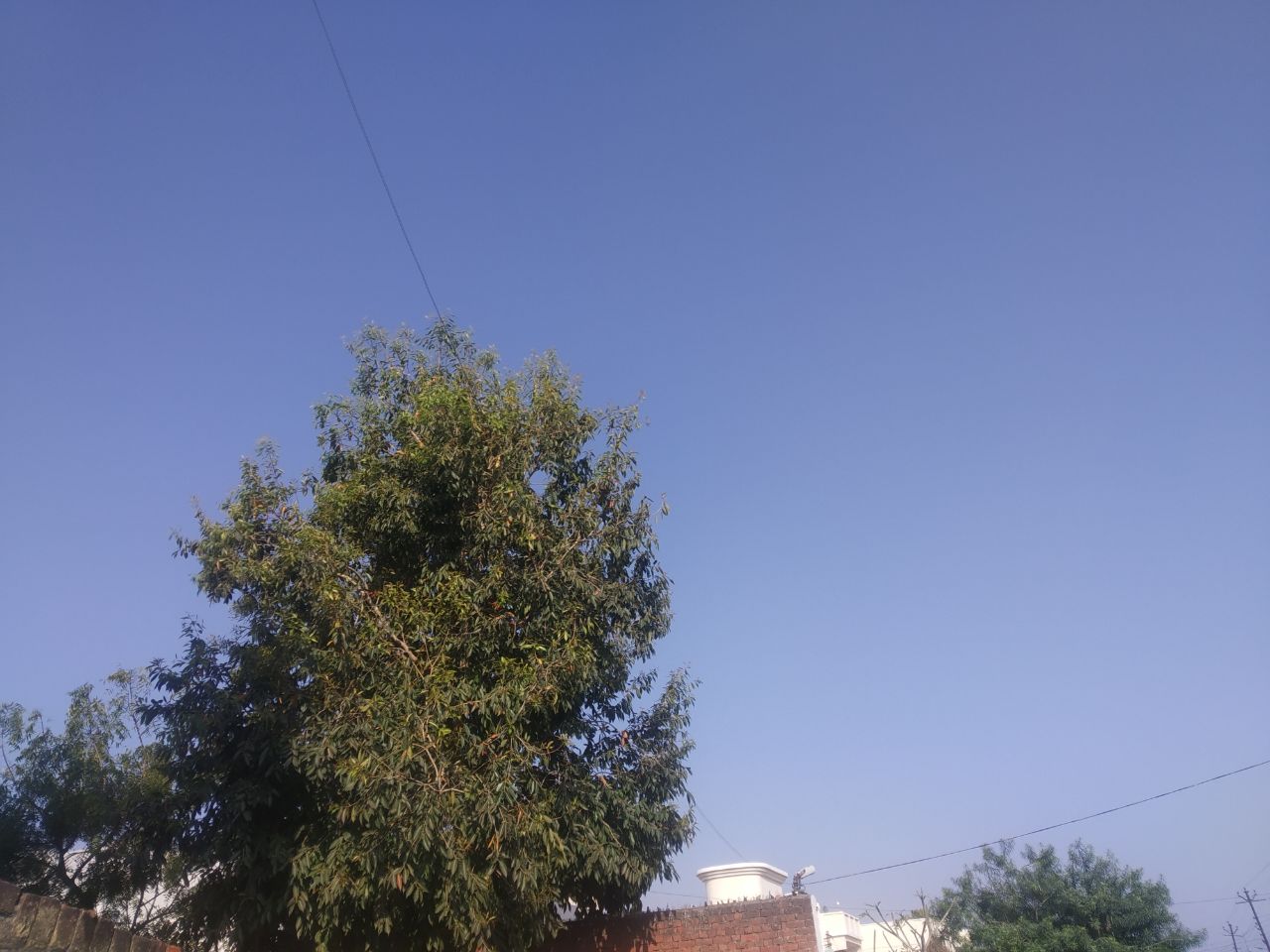 Meerut Weather On Raksha bandhan: जानिए इस बार रक्षाबंधन पर कैसा रहेगा मेरठ सहित इन जिलों में मौसम का हाल