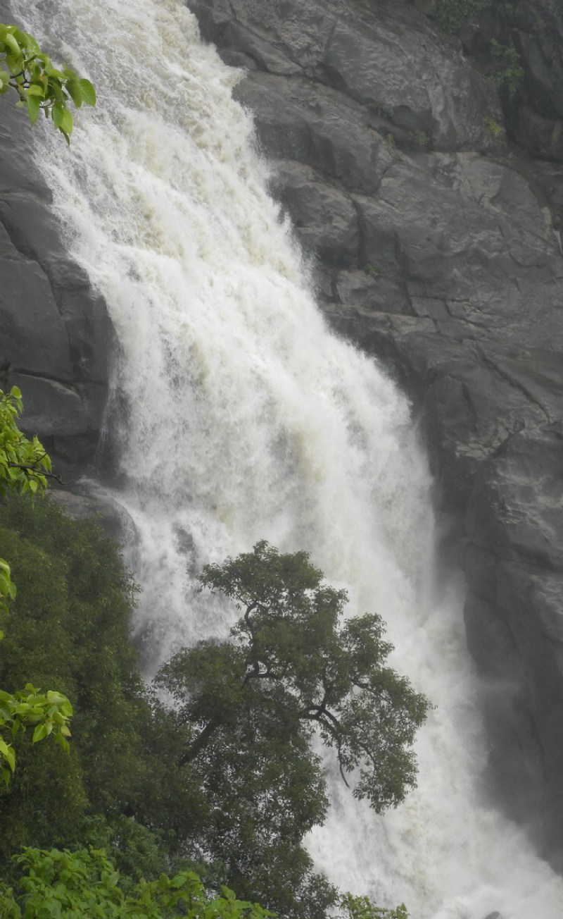 माउंट आबू. आबूरोड माउंट आबू मार्ग पर बीस नंबर पिलर के समीप बहता झरना।