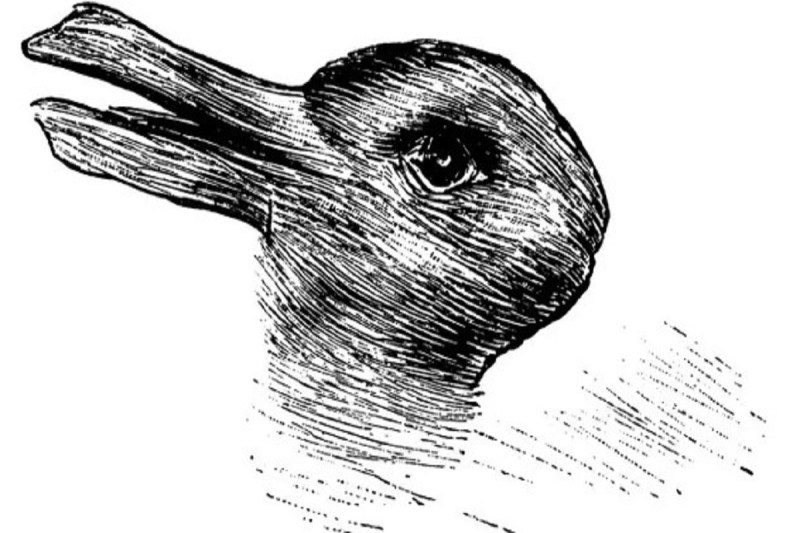 Duck or rabbit? this optical illusion that could tell you how creative you are