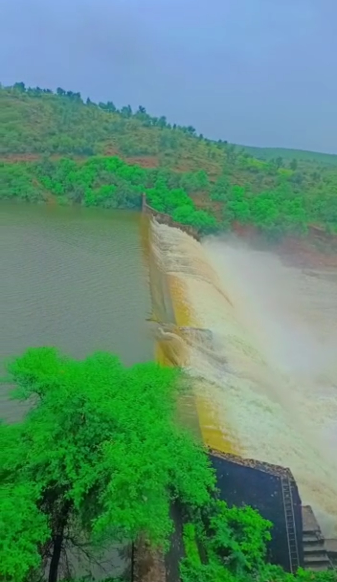 VIDEO : बीसलपुर से आ रही राहत की खबर, तेजी से आ रहा पानी