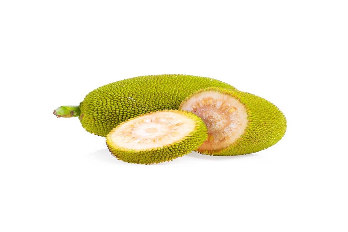 Jackfruit Side Effects: कटहल खाने के बाद भूलकर भी न करें इन चीजों का सेवन, सेहत को हो सकता है नुकसान