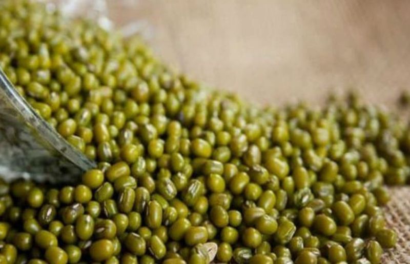 इंदौर बाजार: मार्कफेड बेचेगा एक लाख टन से ज्यादा मूंग, शर्तेे बड़ी कंपनियों के हित में