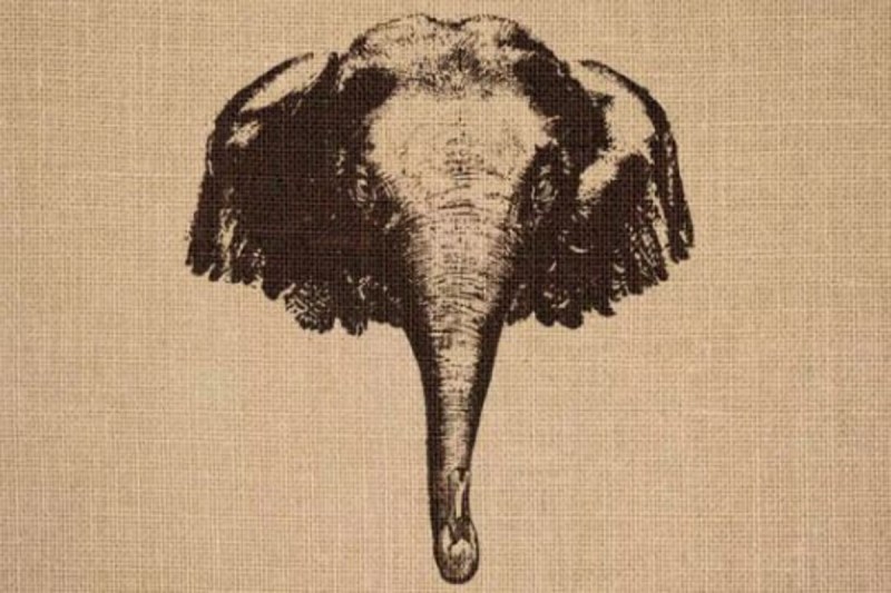 There Are Two Animals In This Optical Illusion Image Can You Spot Them In 10 Seconds?