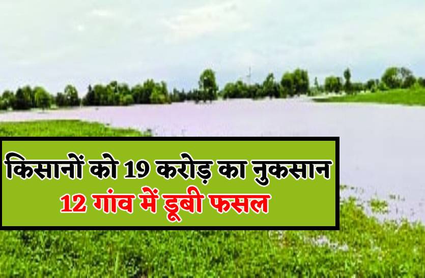19 करोड़ का होगा किसानों को नुकसान, बेतवा के पानी में डूबी 12 गांव की फसल