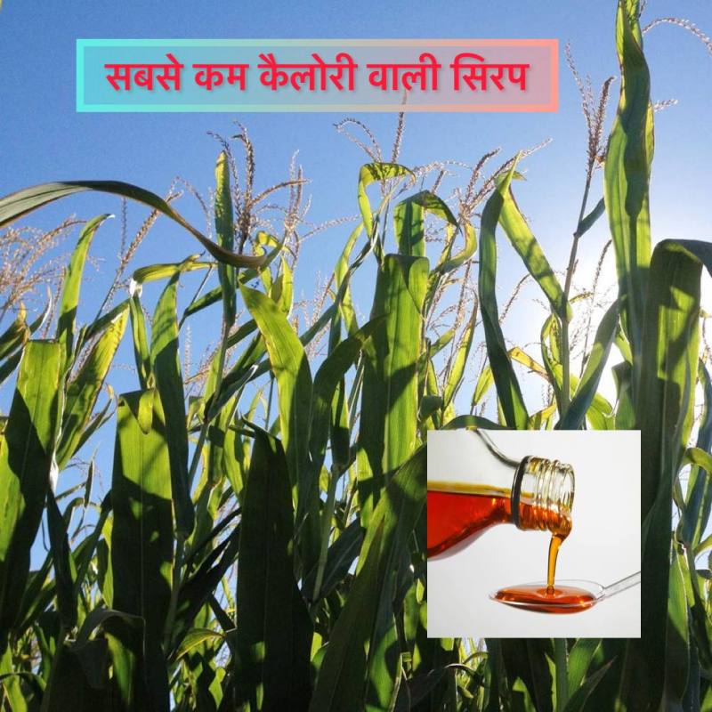 The Lowest calorie Syrup prepared from animal feed 'Chari' successful experiment of NSI
