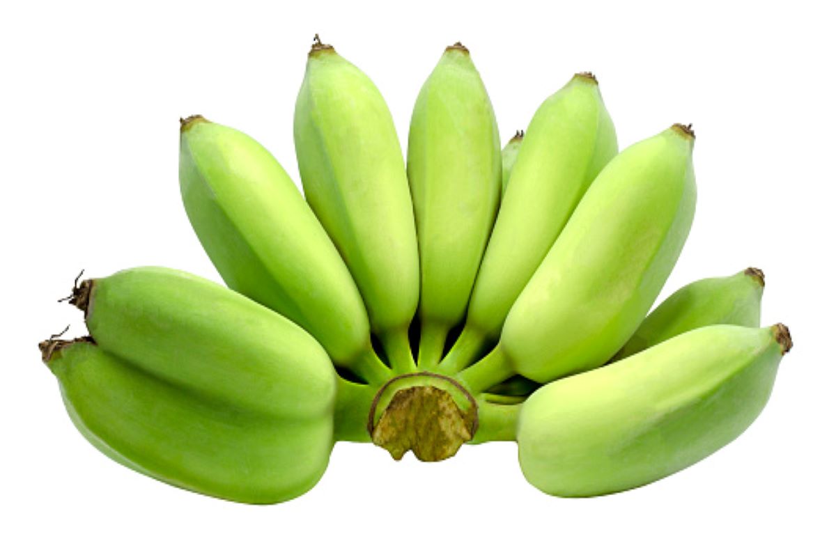 Raw Banana Benefits: वजन कम करने से लेकर पाचन शक्ति को मजबूत बनाने में फायदेमंद होता है कच्चा केला, जानें अन्य फायदे
