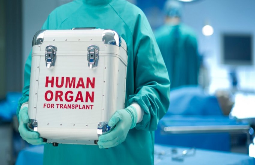 organ_transplant.jpg