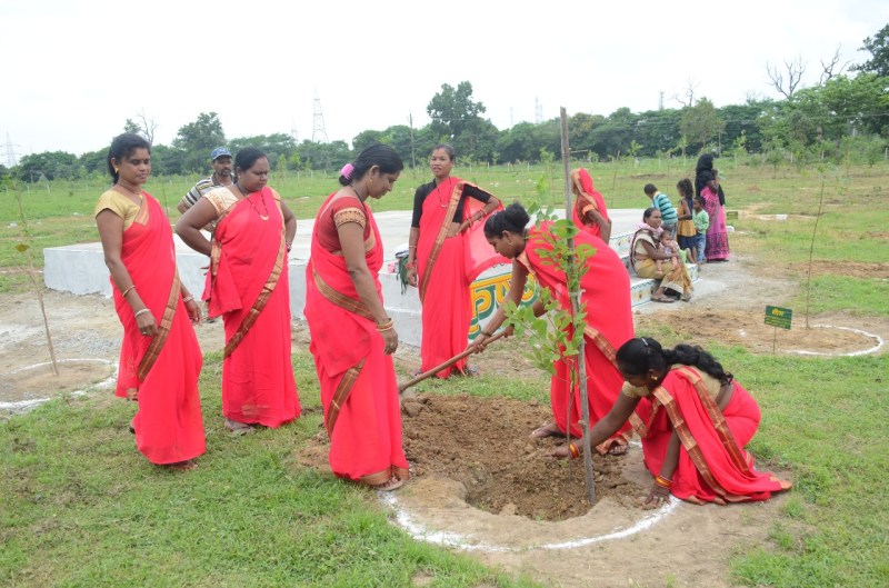 कोरबा के अलावा जिले में पांच कृष्ण कुंज का हुआ लोकार्पण