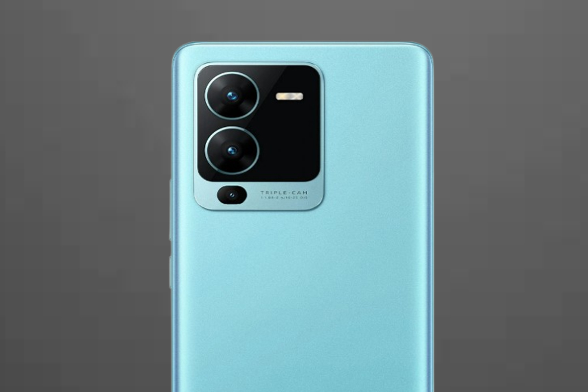 vivo.jpg