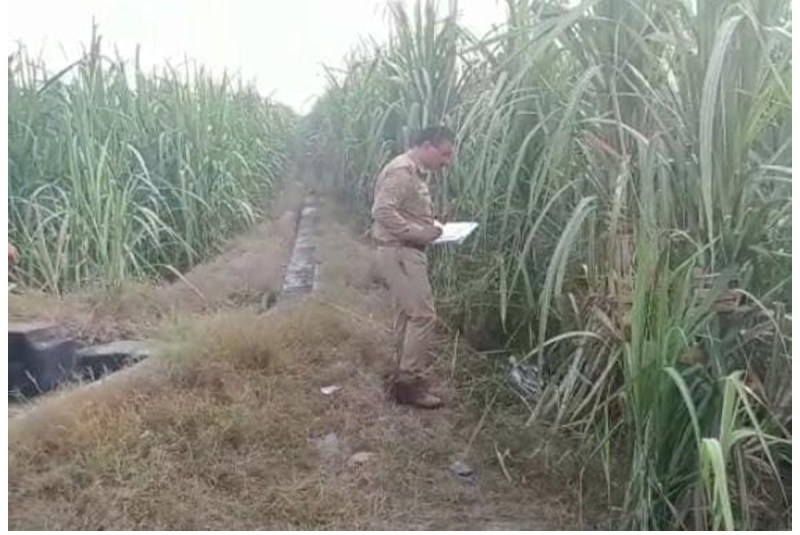 मेरठ में युवक की गला काटकर हत्या, ईंख के खेत में मिला क्षतविक्षत शव