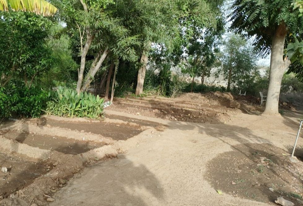 मानसून खत्म होने से पहले ही हांफ गई सरकारी नर्सरियां
