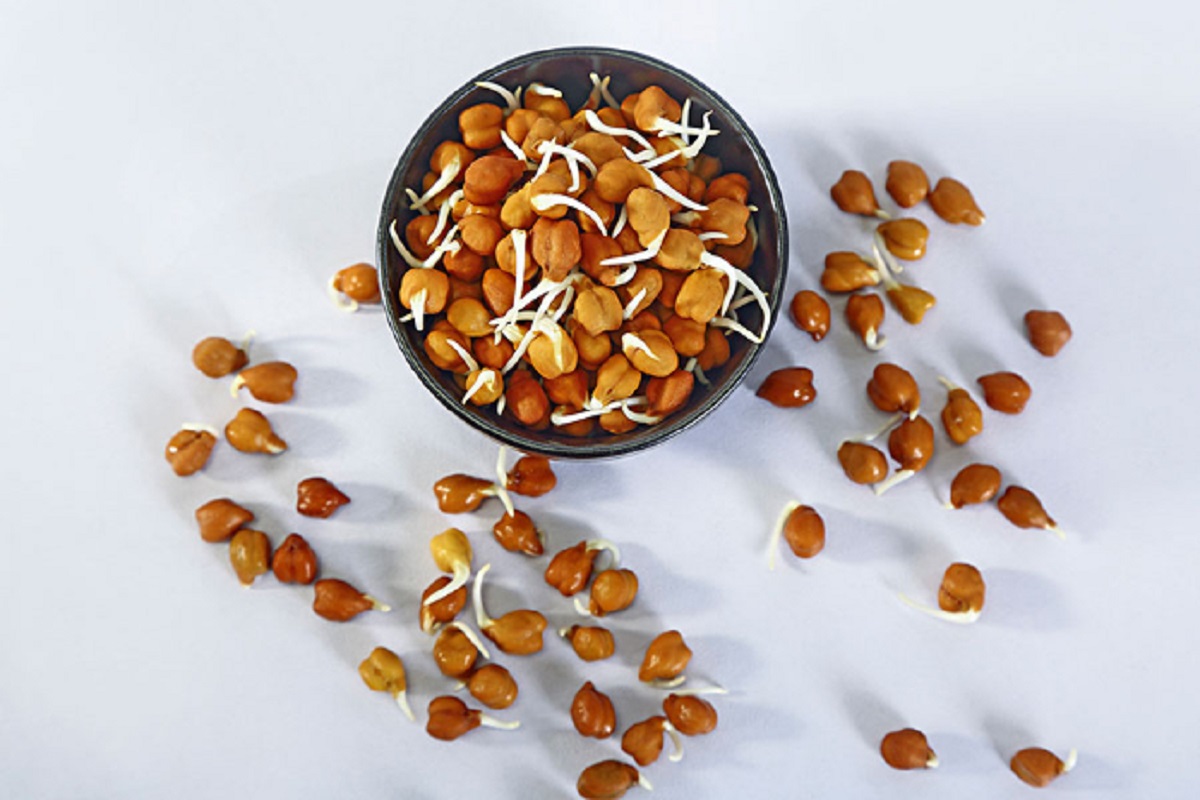Sprouted Gram Side Effects: अंकुरित चना फायदे की जगह सेहत को पहुंचा सकता है नुकसान, जानें इसके साइड इफेक्ट्स