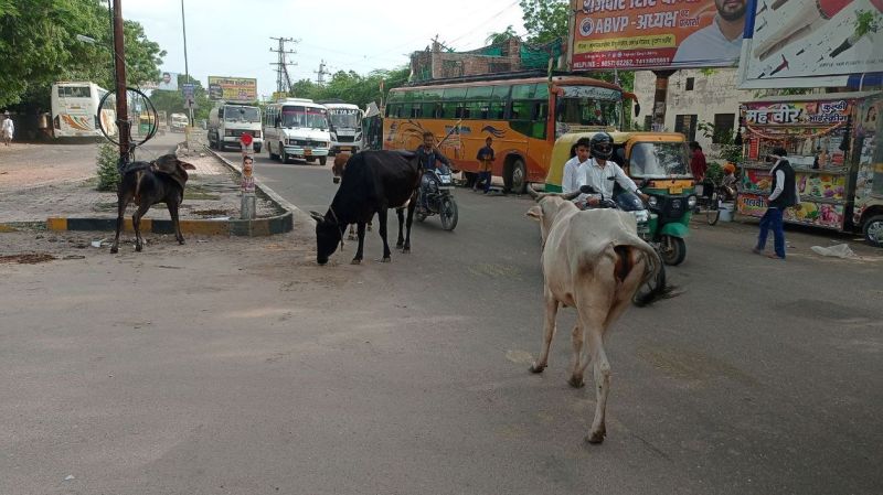 वो अपनी दुकान बंद कर घर को निकले और रास्ते में मिल गई मौत
