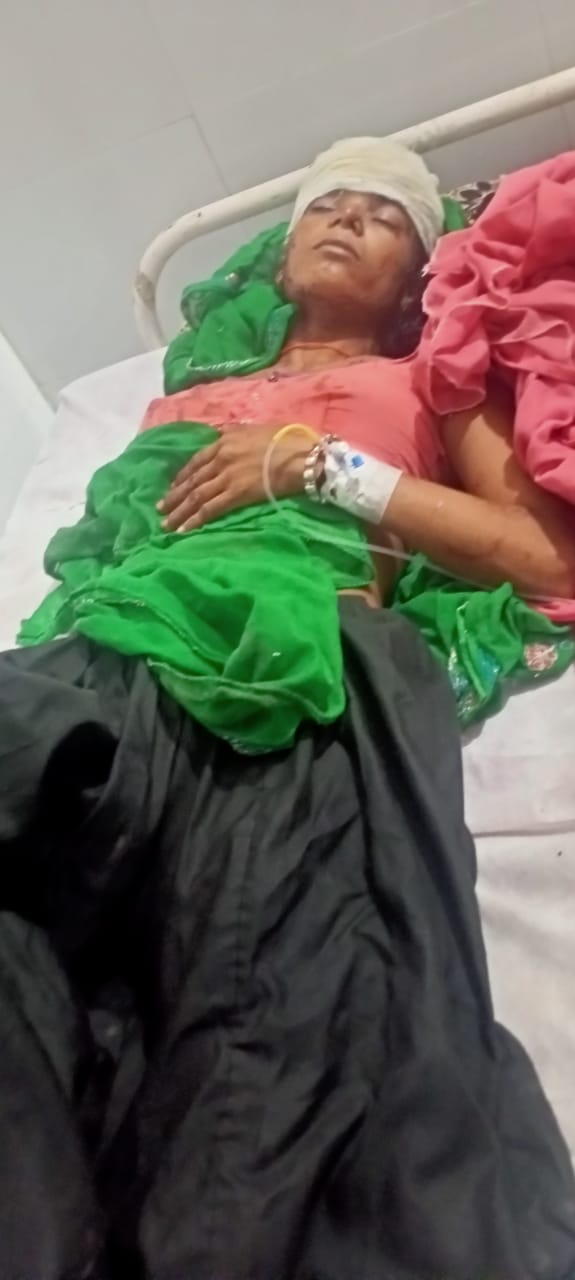 जंगली जानवर ने रात में किया हमला, नवजात की मौत, पति-पत्नी घायल