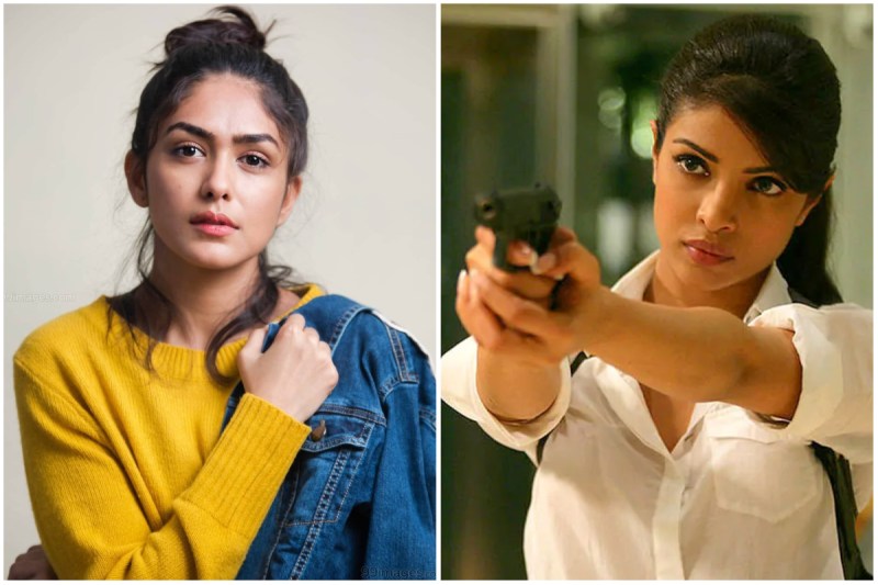 mrunal thakur tweet over fan requesting her to replace priyanka chopra in don 3