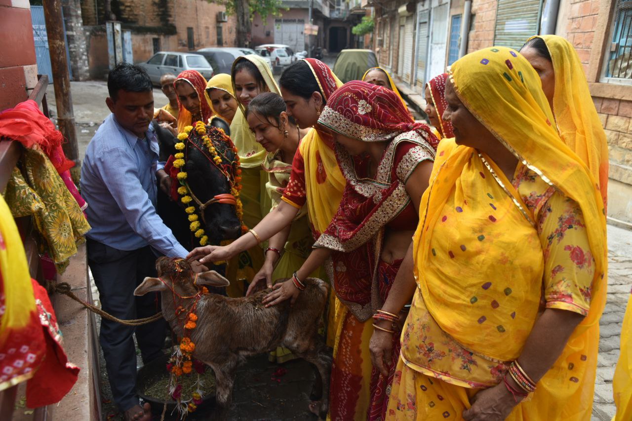 लोकपर्व बछ बारस : आओ रे म्हारा हंसराज - बच्छराज ...