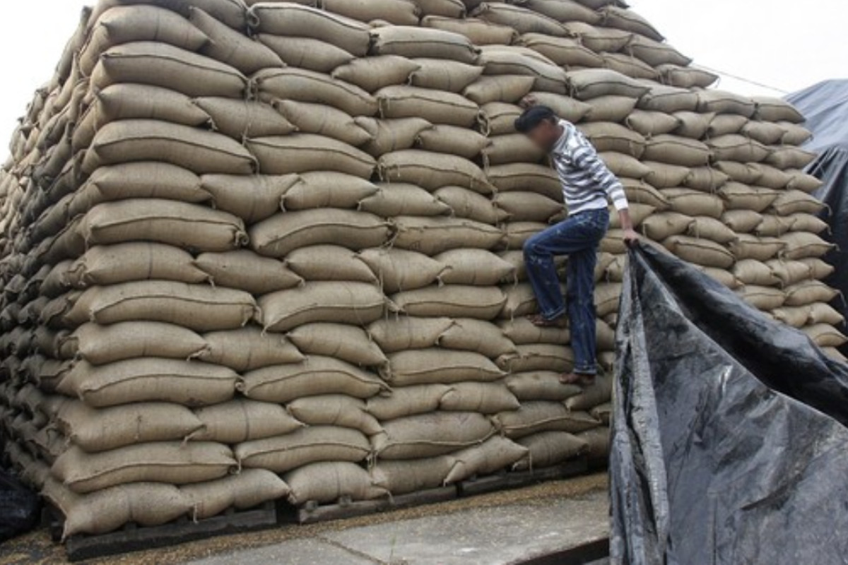 Thousand Quintals Of Grain Wasted in Bhandara Rain