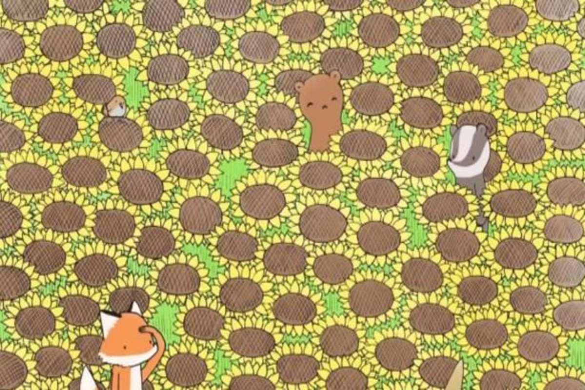 Optical Illusion Spot Hidden Butterfly Only Genius Brains Can Solve In 15 Seconds