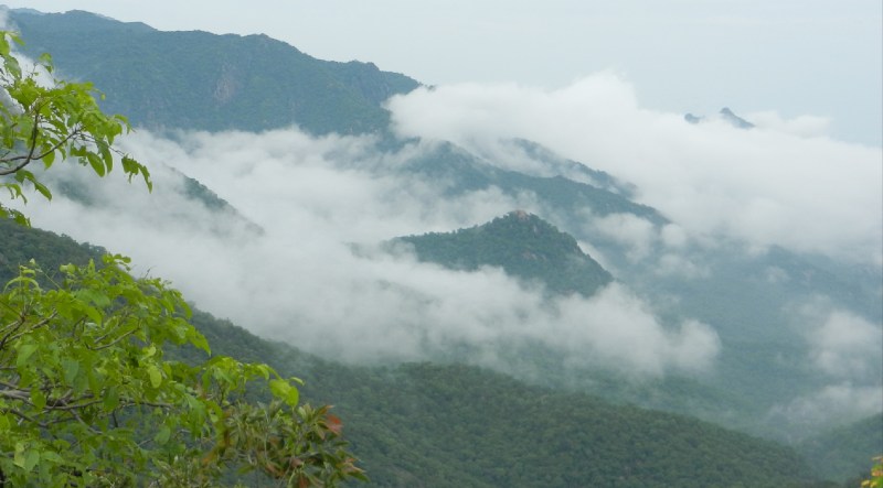 माउंट में अधिकतम और न्यूनतम तापमान में 12 डिग्री सेल्सियस का अंतर