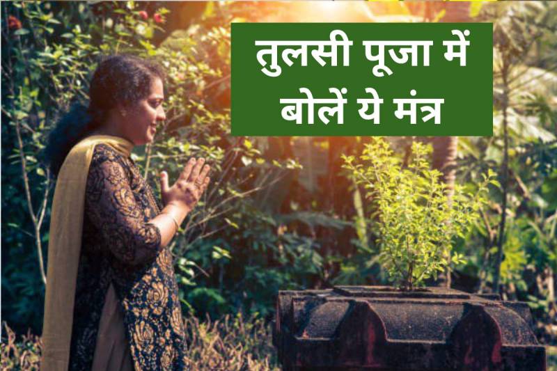 jyotish shastra, tulsi puja ka mantra, tulsi ji ki puja kaise karte hain, tulsi puja ke fayde, tulsi puja ke niyam, तुलसी पूजन मंत्र, तुलसी की पूजा करते समय क्या बोलना चाहिए, 