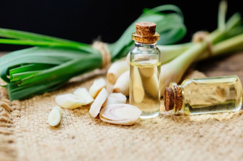 Lemongrass Oil Benefits: लेमन ग्रास तेल से भी सेहत को मिलते है कई अद्भुत फायदे, सूजन को कम कर करने में होता है सहायक