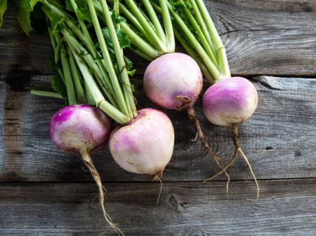 Shalgam Benefits: शलजम खाने के भी हैं कमाल के फायदे, ब्लड प्रेशर करता है कंट्रोल