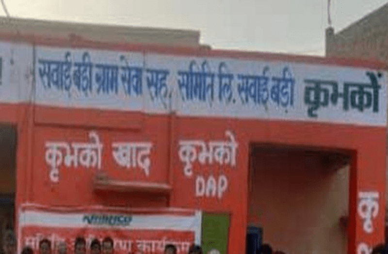 Village Service Cooperative Society Elections:- आठवीं पास कर लेते तो लड़ लेते चुनाव, अब उम्मीदों पर फिरा पानी