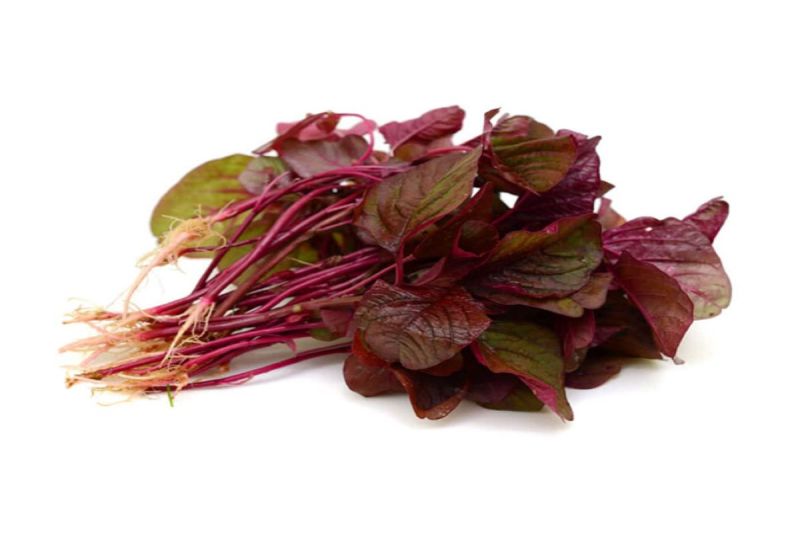 Chaulai Benefits: चौलाई के फायदे जानकर आप भी हो जाएंगे हैरान, आज ही से खाना शुरू कर देंगे लाल साग