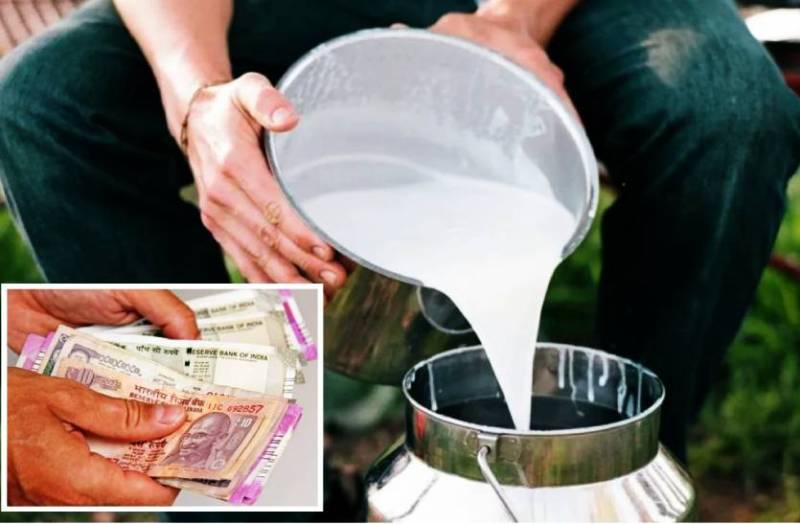 patrika_mp_milk_price_hike.jpg