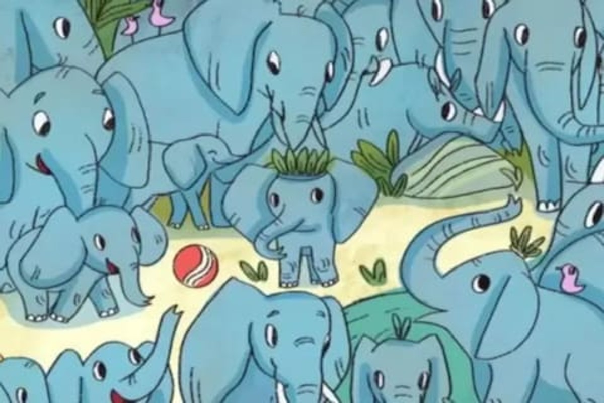 Optical Illusion Rhinoceros play Football Hiding Among The Herd Of Elephants 99 percent Fail To Find